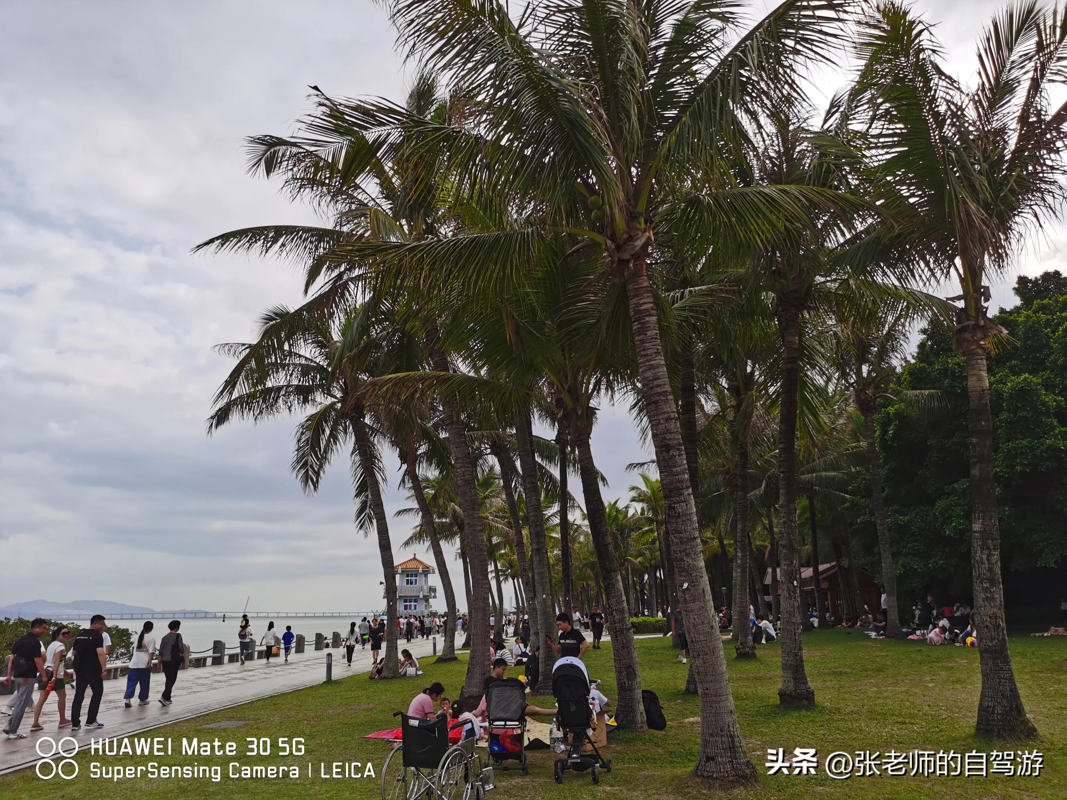 自驾环游中国最佳路线图费用,盐城到海南自驾旅行攻略