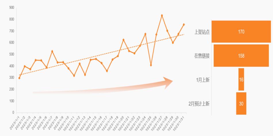 temu自有品牌店,temu女装爆款