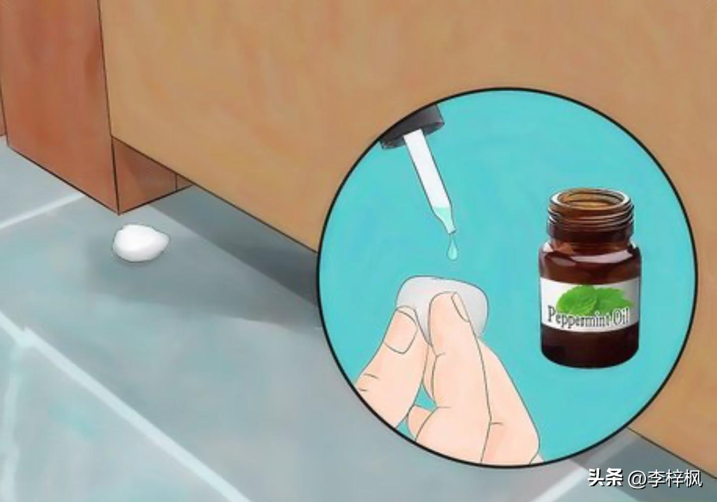 家里有老鼠怎么办快速灭鼠妙招,家里有老鼠怎么办没有酒精和白醋