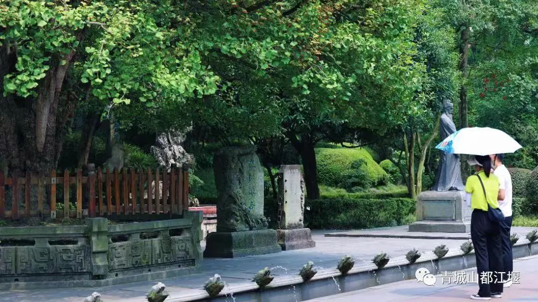 都江堰熊猫谷里的国宝,都江堰市大熊猫国家公园