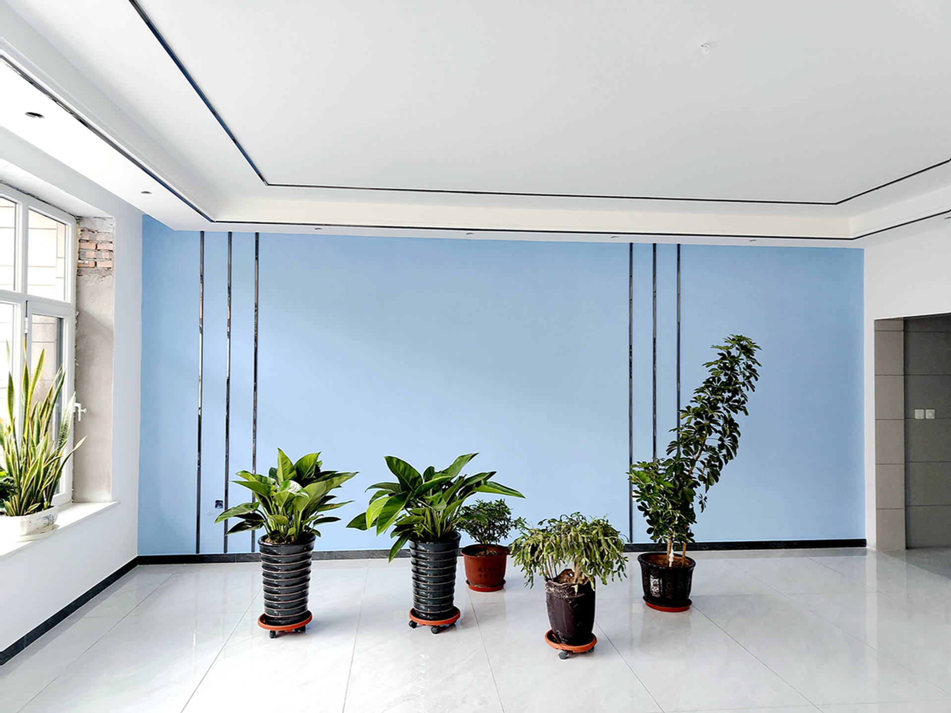 1盒相当于89盆绿萝？新房入住前有哪些除甲醛好物值得推荐？