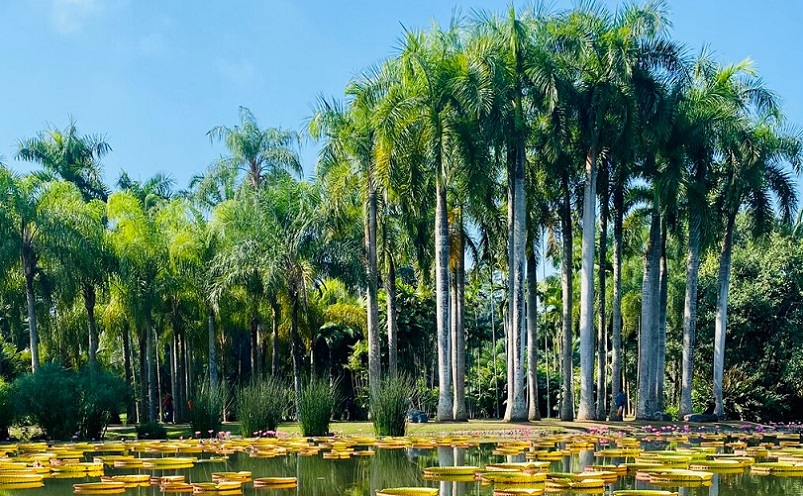 云南十大必玩景点你去过几个,云南丽江十大旅游景点大全