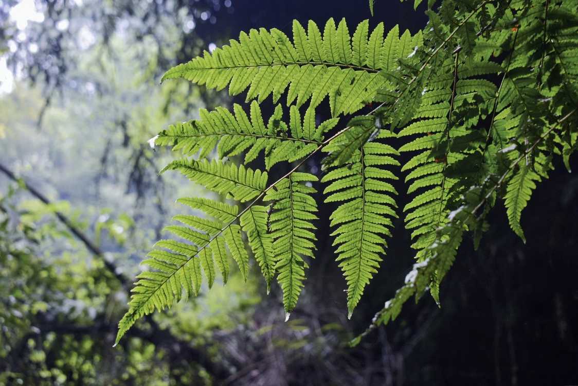 乐山异国风情打卡新去处,乐山游玩攻略及人文风情