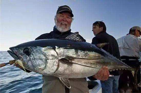 全球十大名贵海鲜,世界上最贵的的十大海鲜