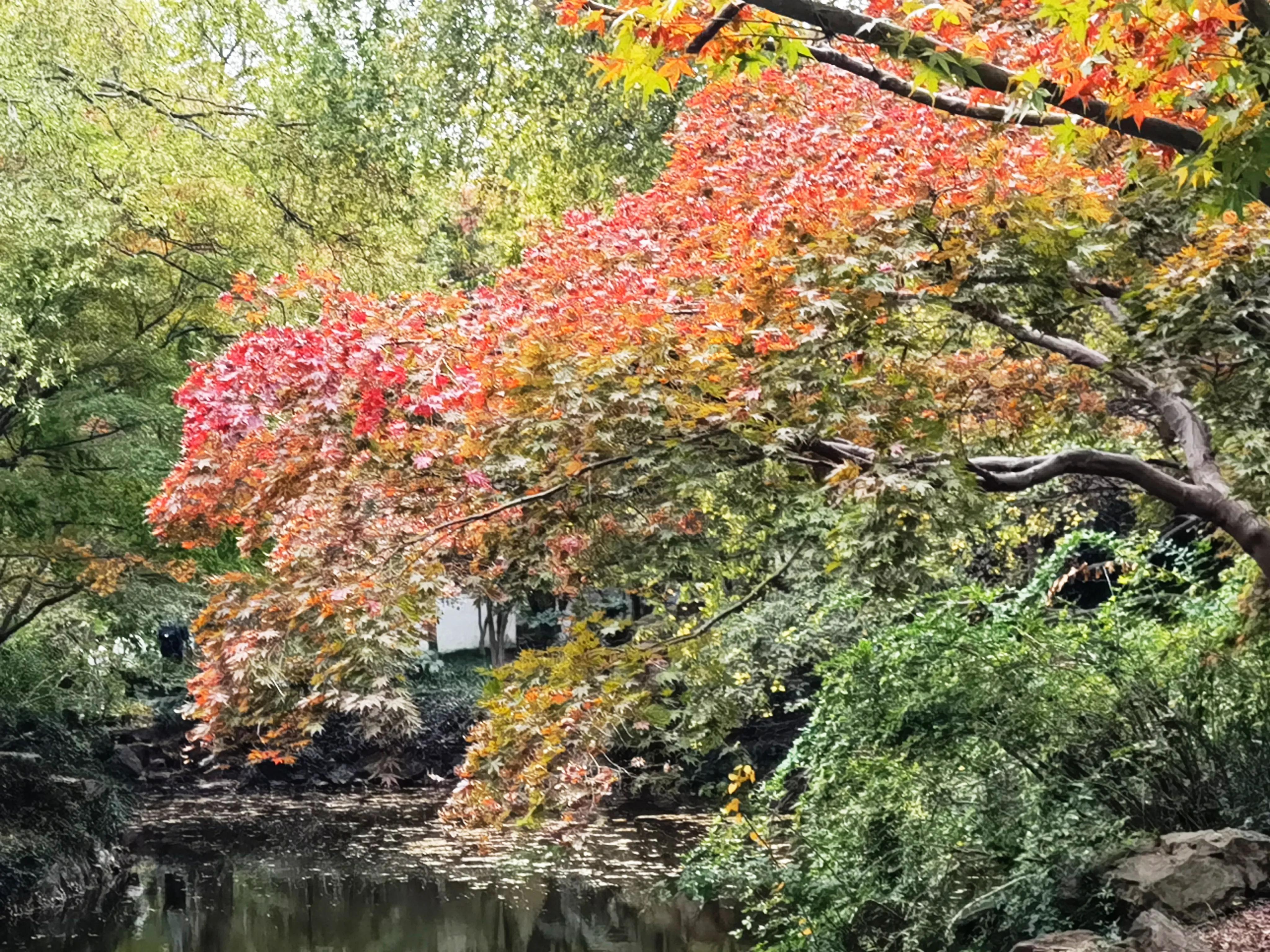 嘉定景点攻略亲子游,嘉定景区一日游