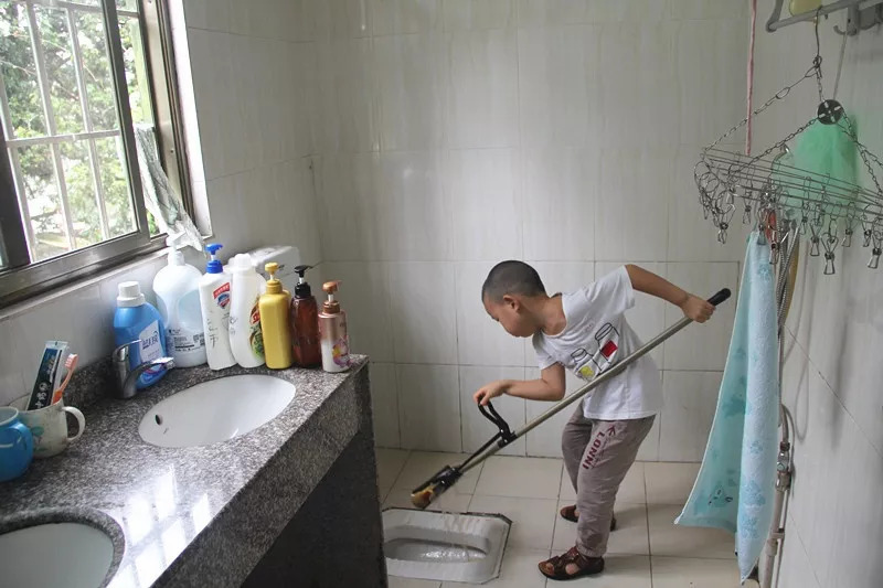 卫生间小飞虫蛾蚋的危害,卫生间小飞虫有多可怕