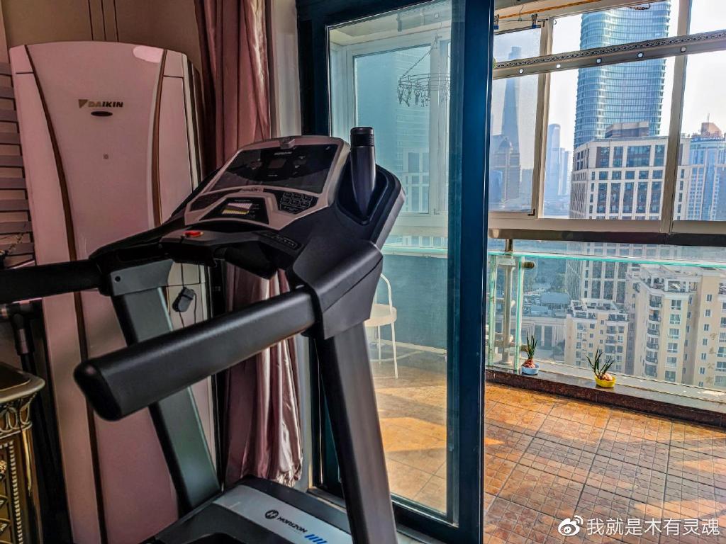 跑步机应该买哪一种,跑步机什么模式最好