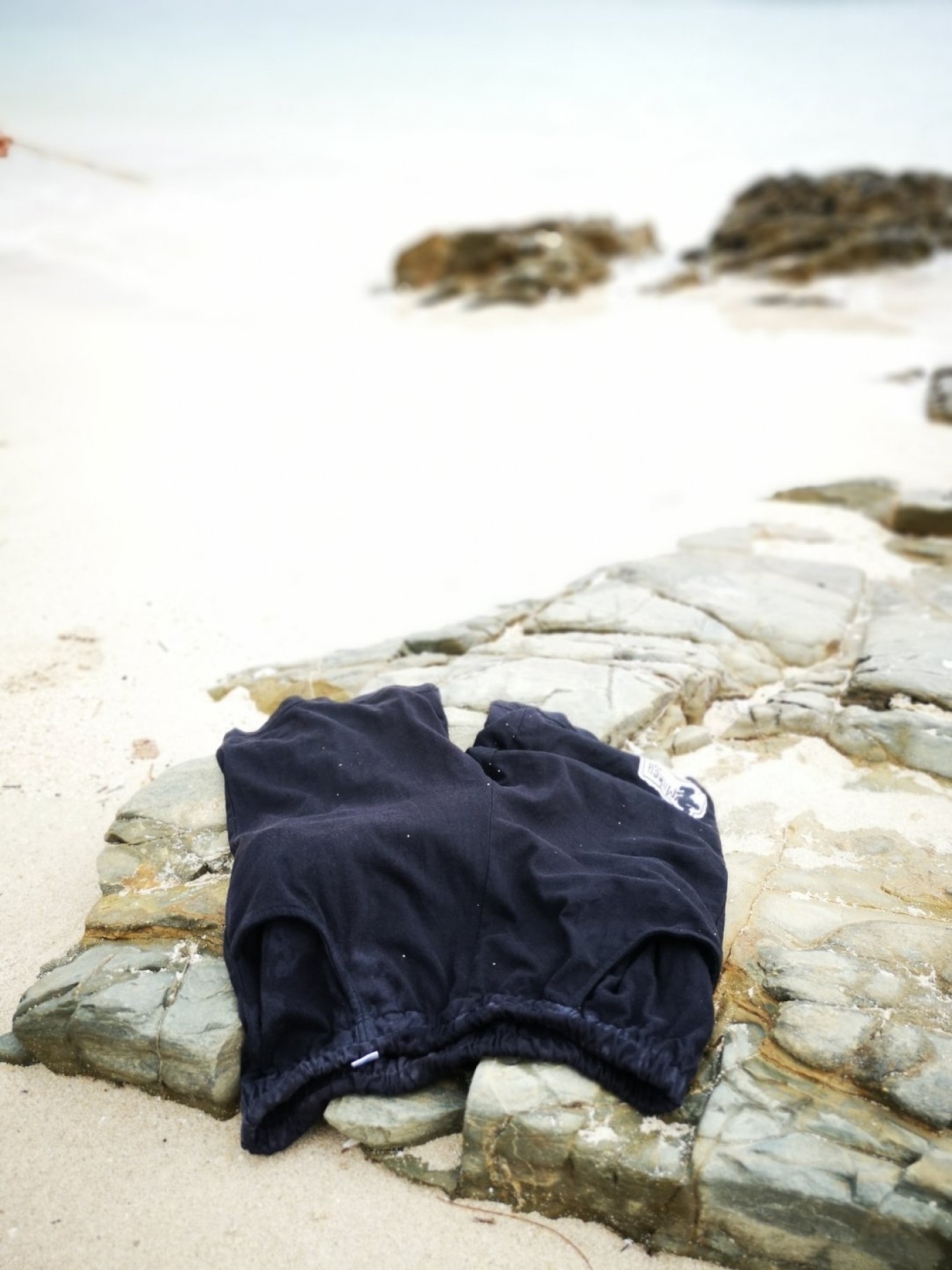 暑期档2019年,2019年暑期档