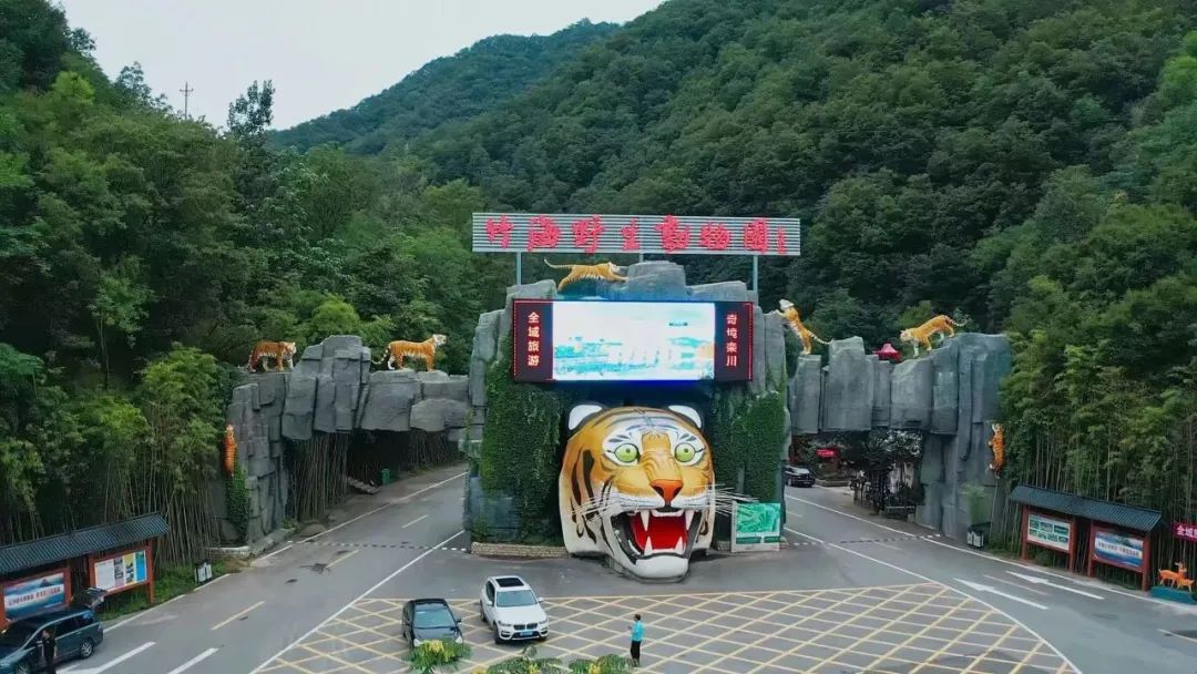 栾川避暑度假哪里吃住最舒心,洛阳栾川旅游度假攻略