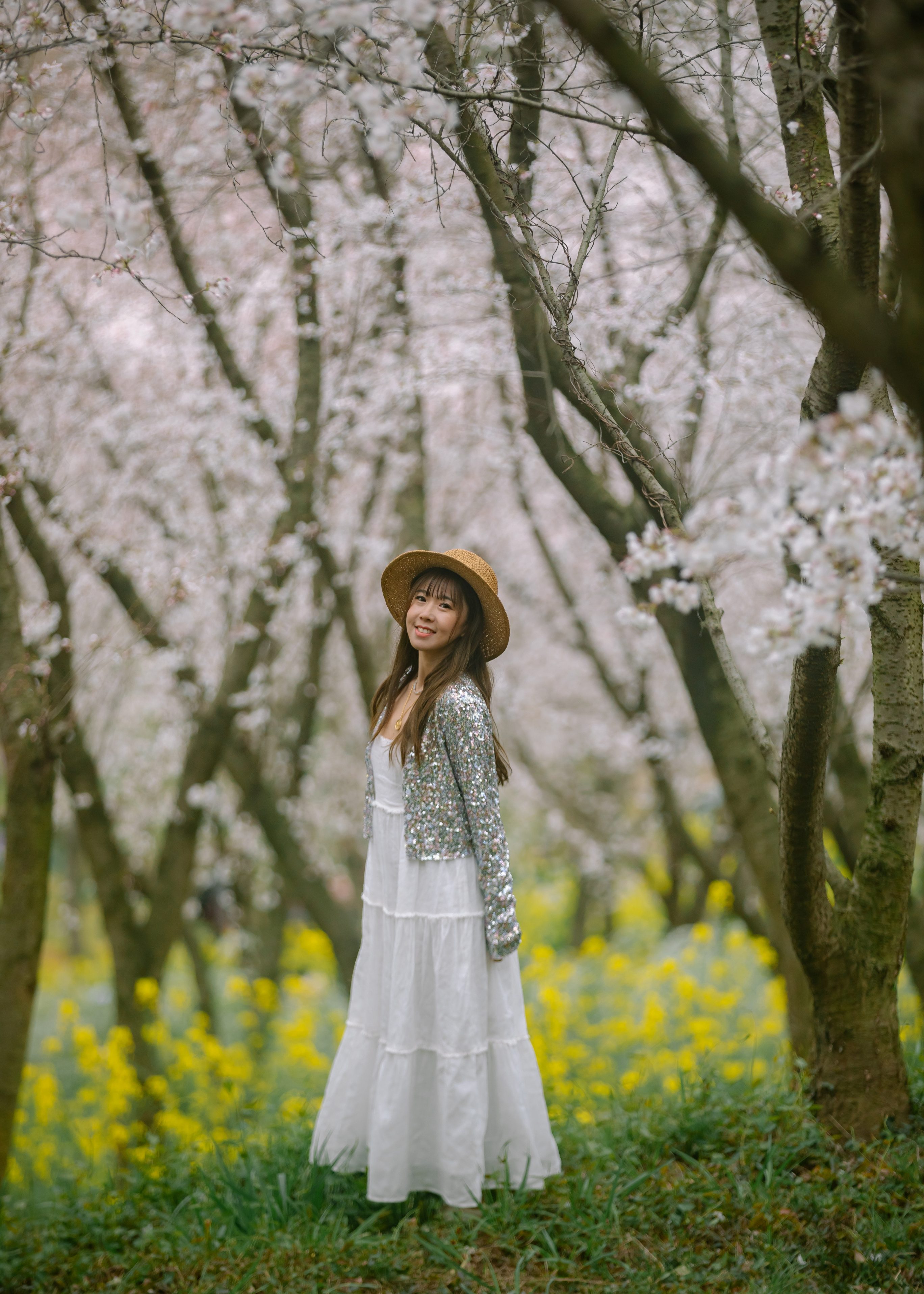 鼋头渚樱花盛宴比日本更令人沉醉,太湖鼋头渚樱花美如画