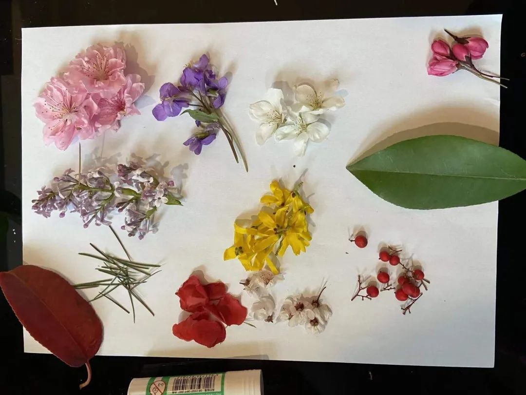 乐高编程是不是智商税,乐高编程对小孩学习有帮助吗