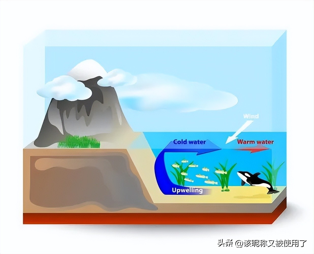 【天福山起义】山东之地理：11.“鲁”字里的鱼是河鱼还是湖鱼？