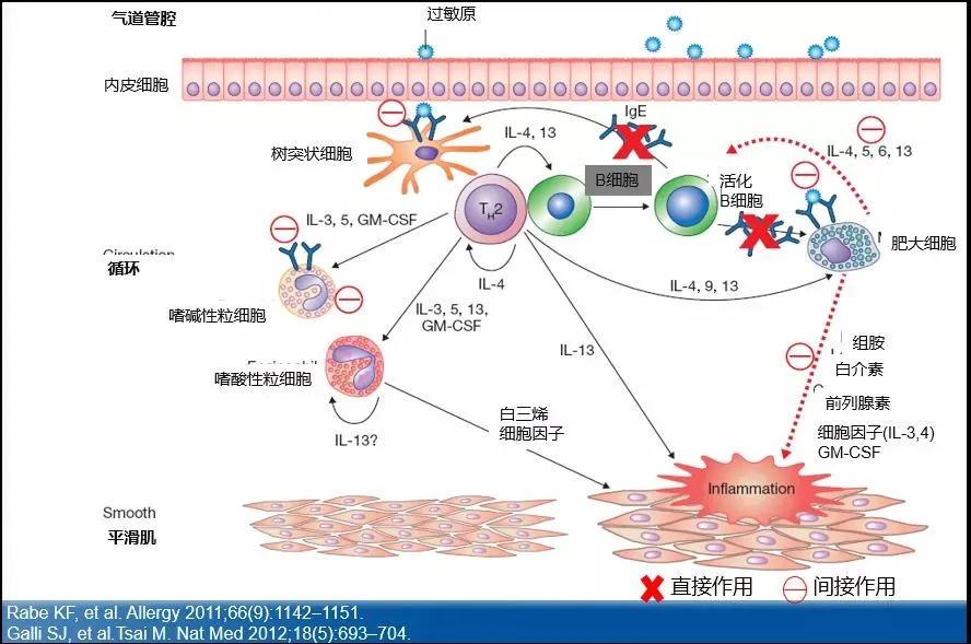 哮喘的诊断与治疗指南pdf,哮喘的监测和护理