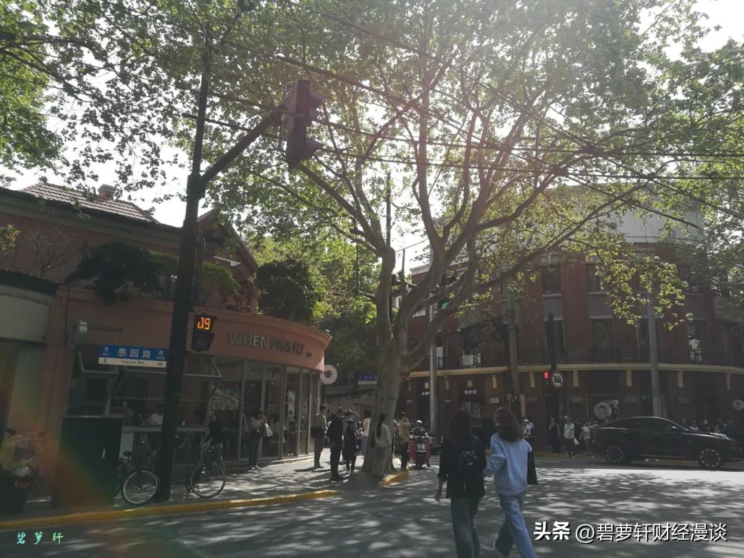 我在上海压马路④中山公园-苏州河华政-愚园路