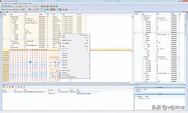 抓包工具哪个最火,抓包工具常用的是哪几个