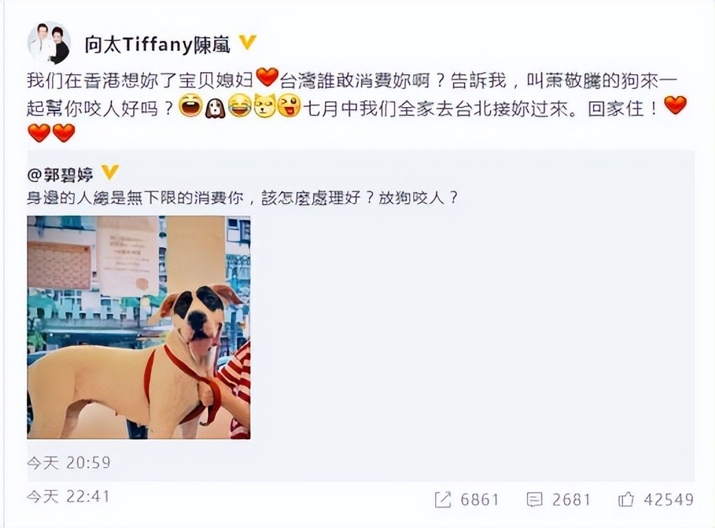 向太陈岚钻戒多少钱,向太陈岚曝婚姻真实情况