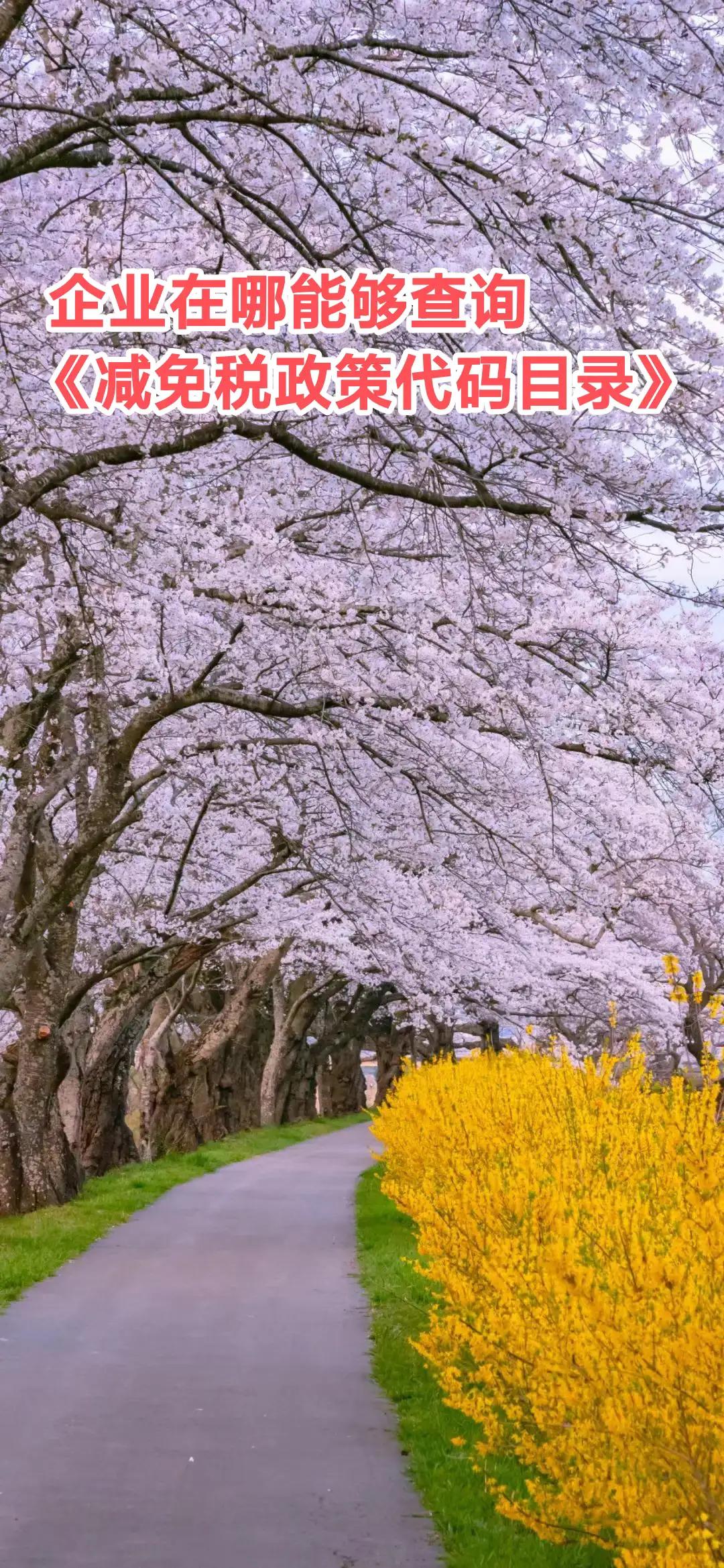 减免税事项代码在哪里查,一般纳税人减免税政策去哪里办理