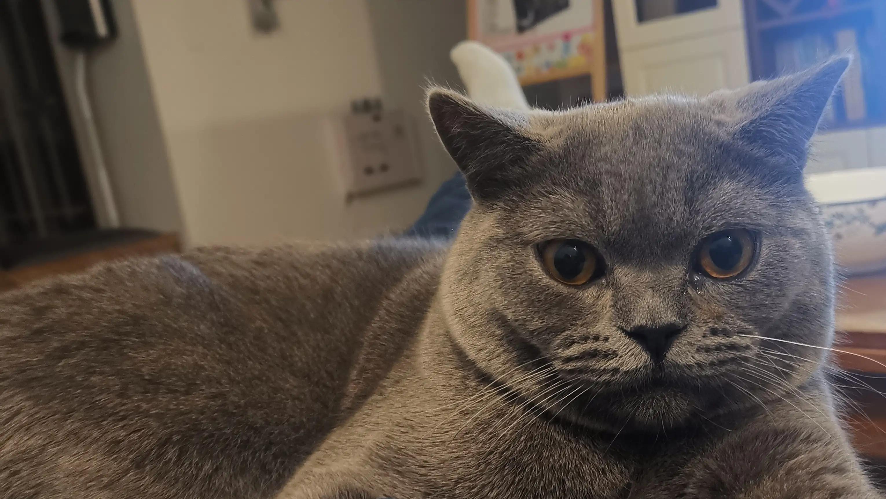 盈通6650xt显卡能买吗,盈通6650xt显卡配什么显示器