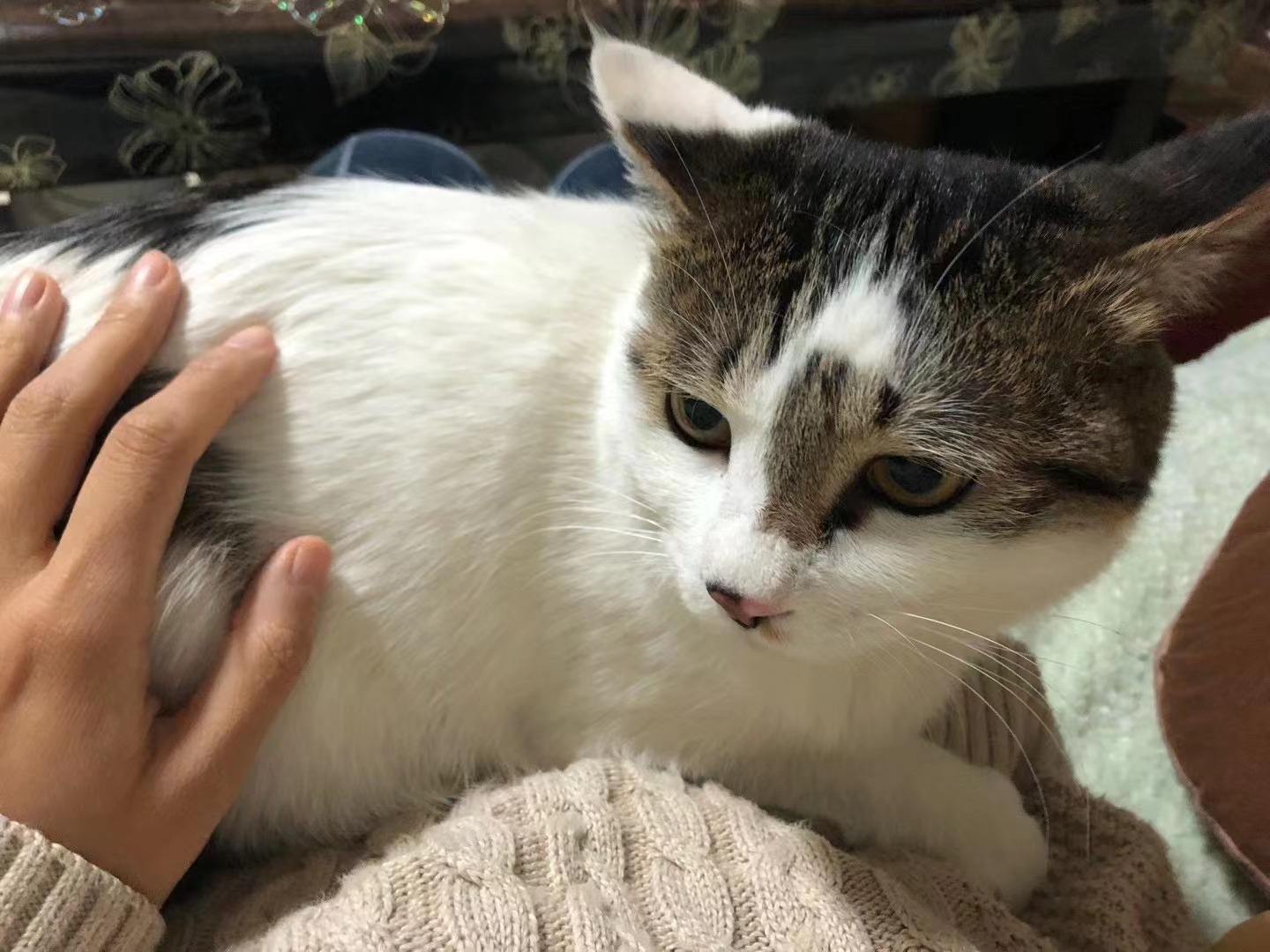 送女朋友的礼物礼物,送女性朋友的礼物100-300元