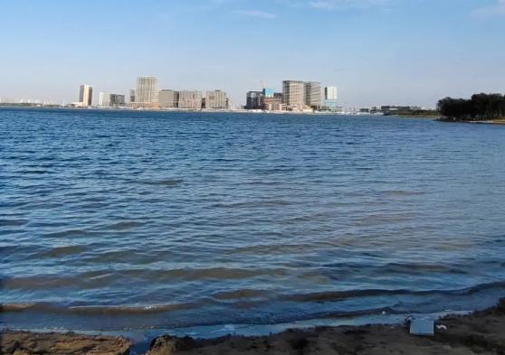 郑州赏花游玩推荐景点,郑州踏青旅游攻略