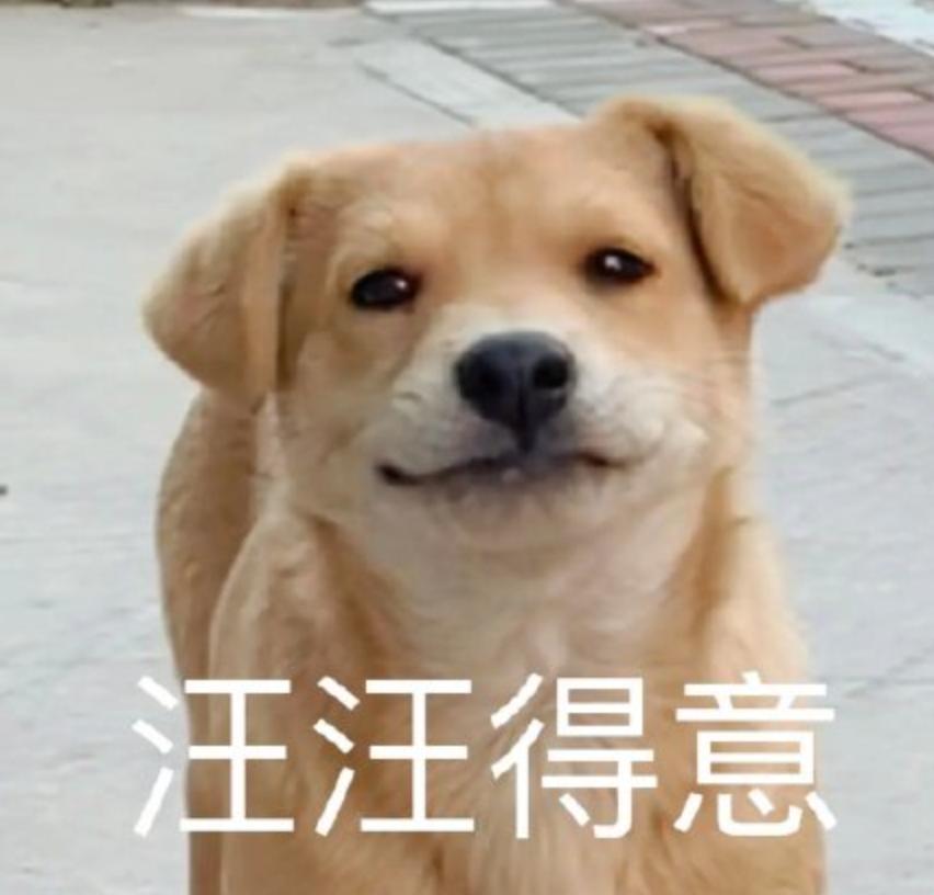 金毛误入地铁站后续,金毛闯地铁