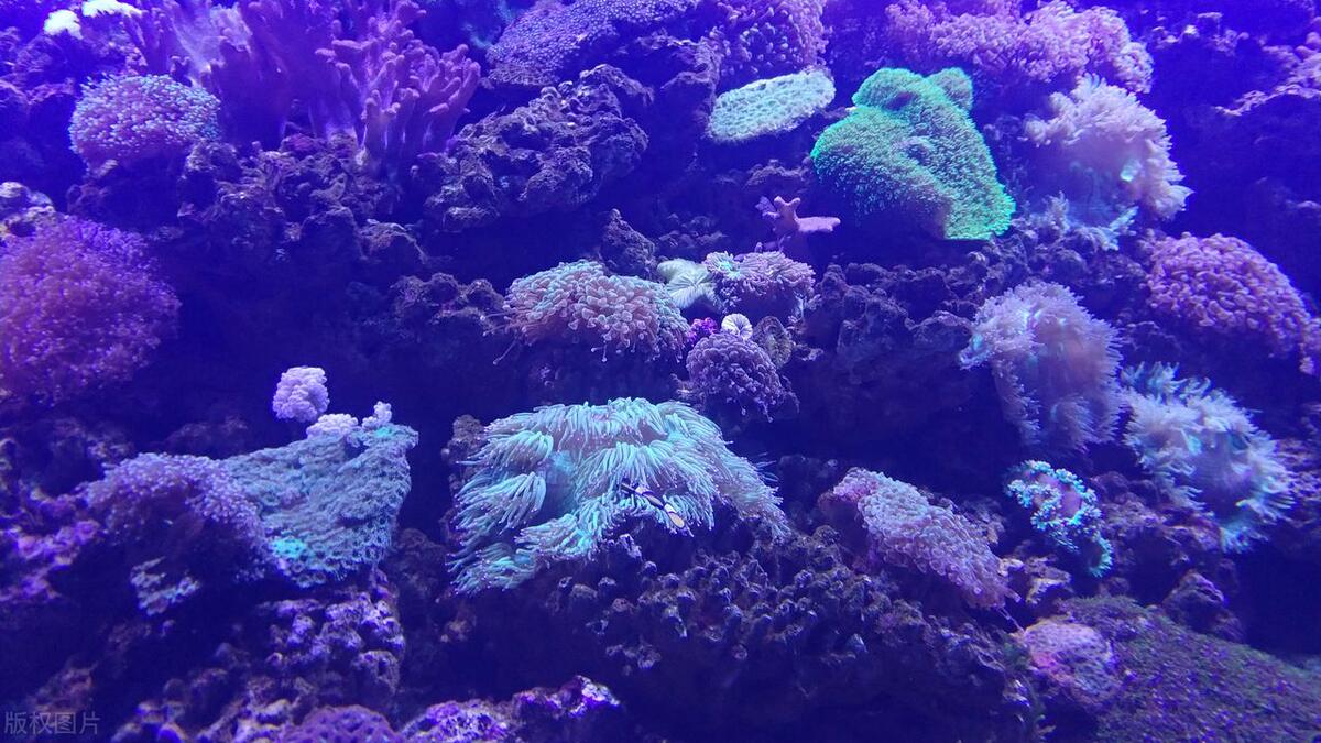 青岛十大最好玩的景点,青岛旅游十大必去景点免费