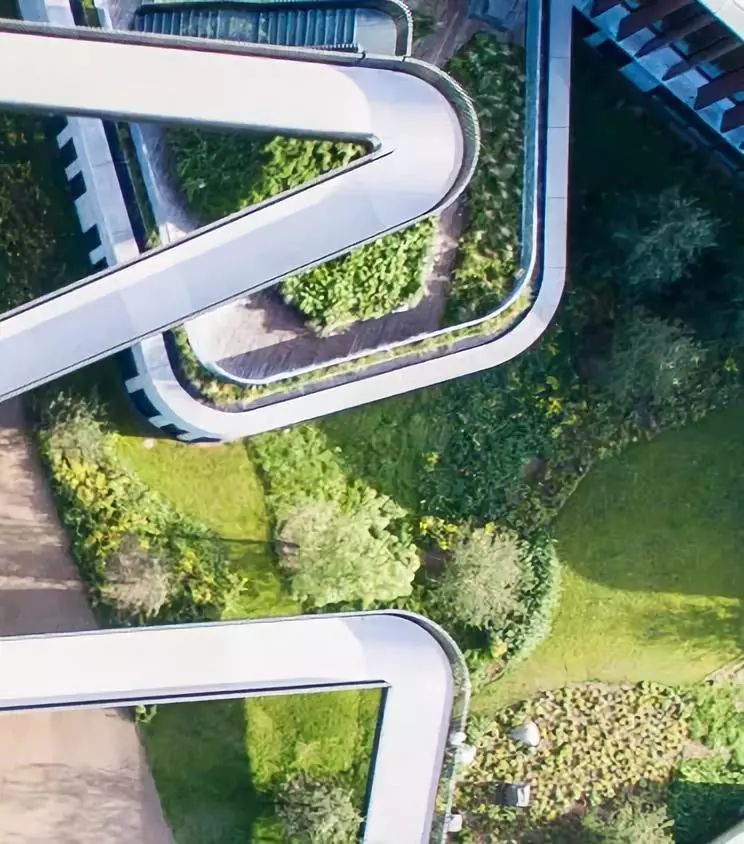 屋顶适合建设哪种绿色屋顶,绿色屋顶建筑