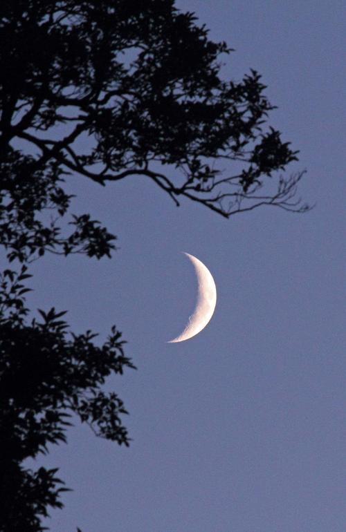 小花失去的初恋-八十年代的爱情故事-下部