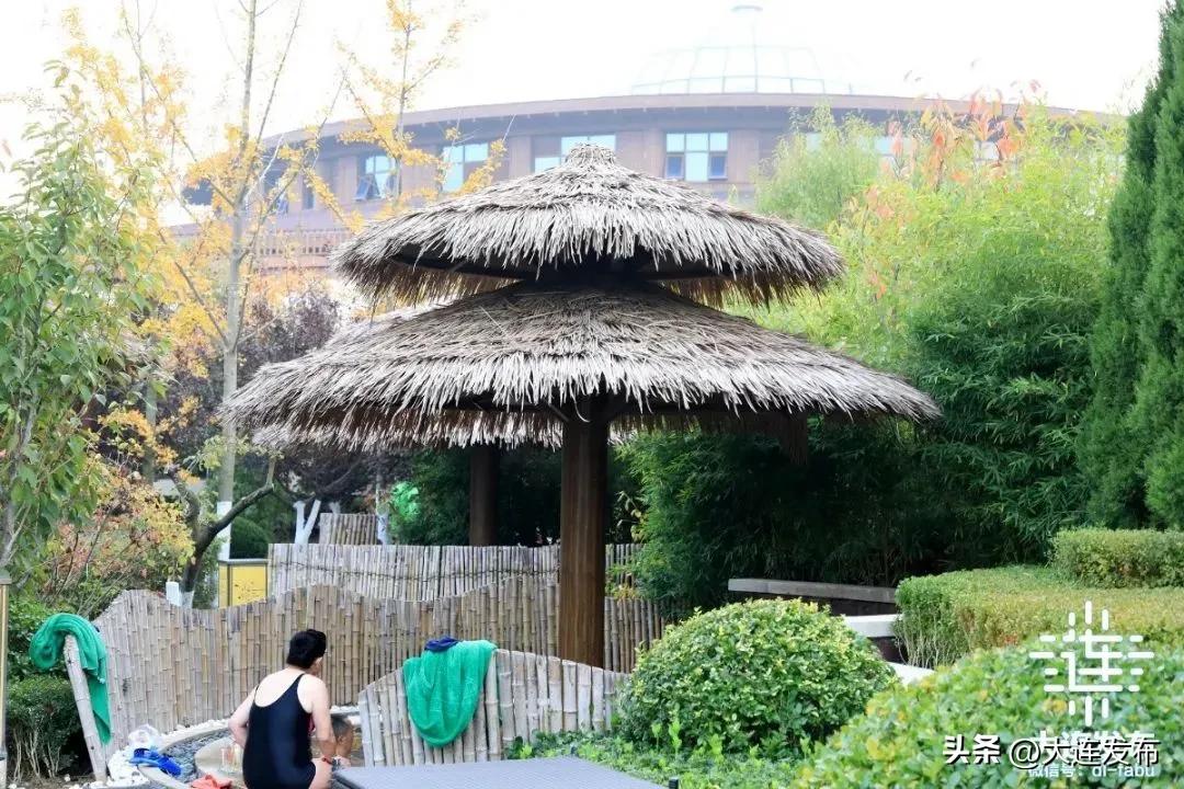 回到小时候戏水感触,回到儿时戏水玩耍的地方