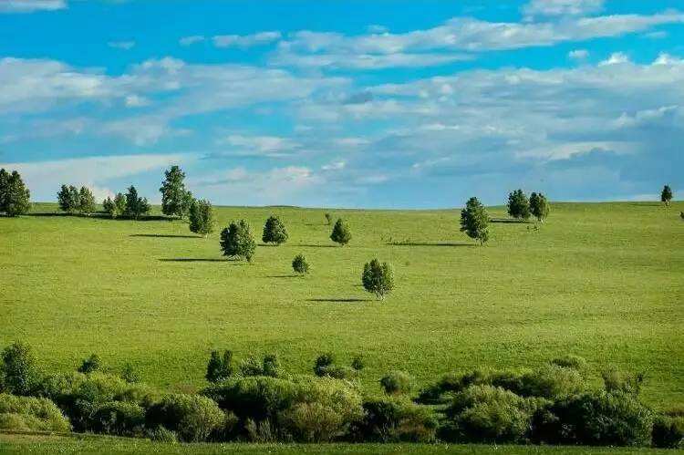 为什么国外没有绿化带,为什么欧洲没有绿化带