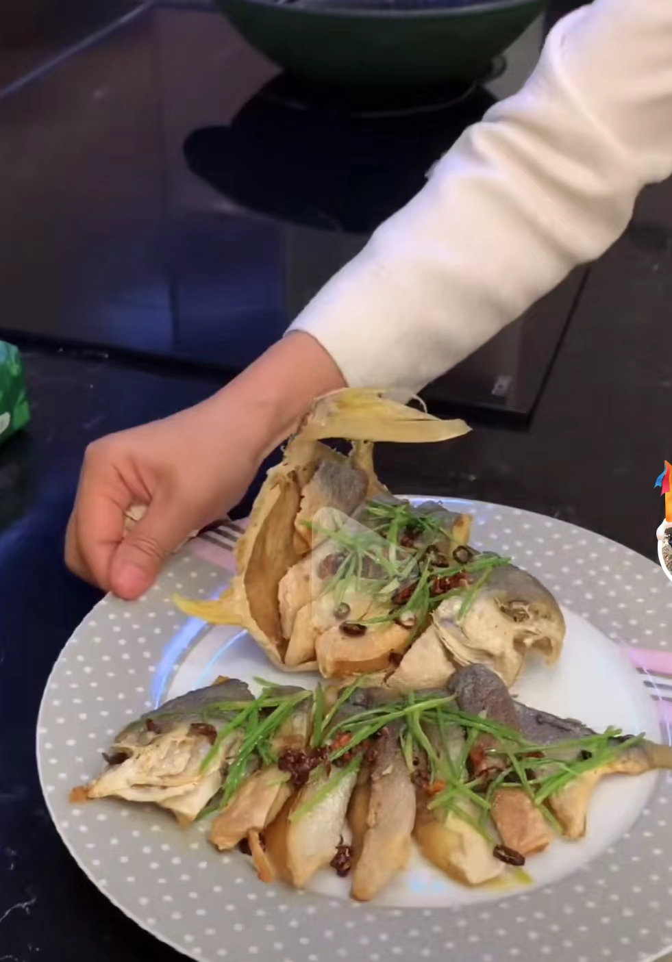 cici888跟赌王三太什么关系,cici是赌王三太陈婉珍的护士吗