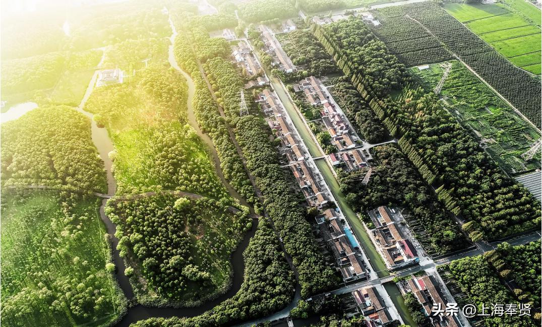 庄行镇乡村振兴,庄行镇发展规划