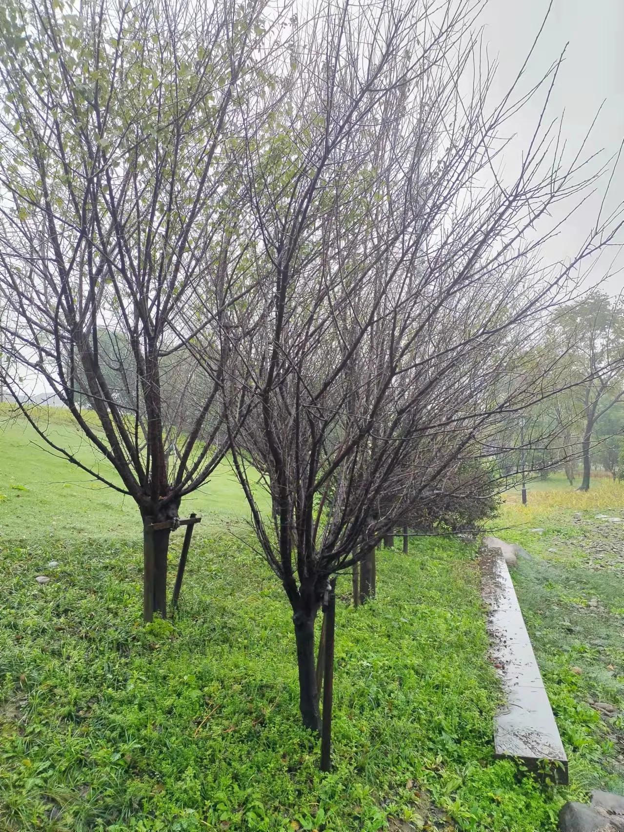 王老和王姥哪里人,王老和老王的视频