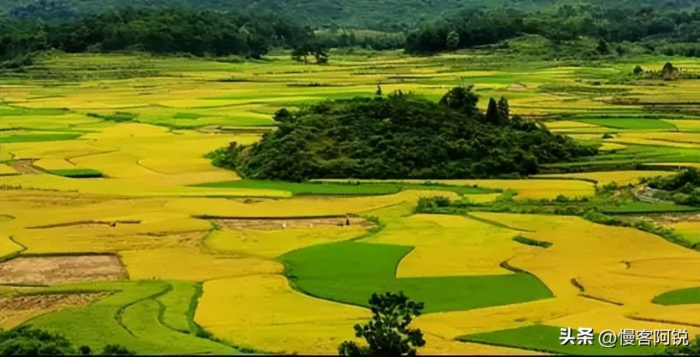 从巴西人挨饿谈温铁军所说的“自主性”