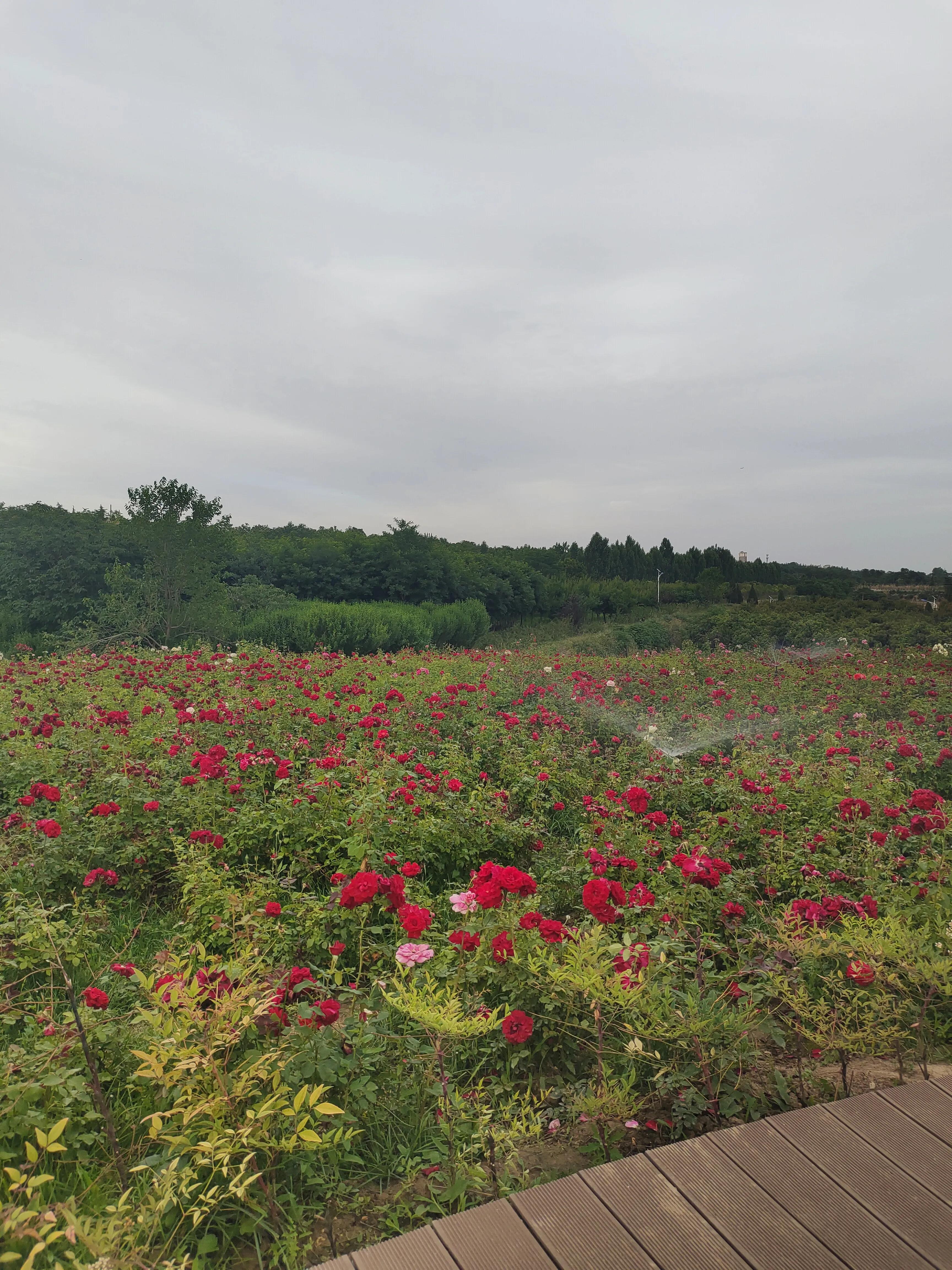 女人为什么不喜欢型男,女人如果不喜欢你会有哪些表现