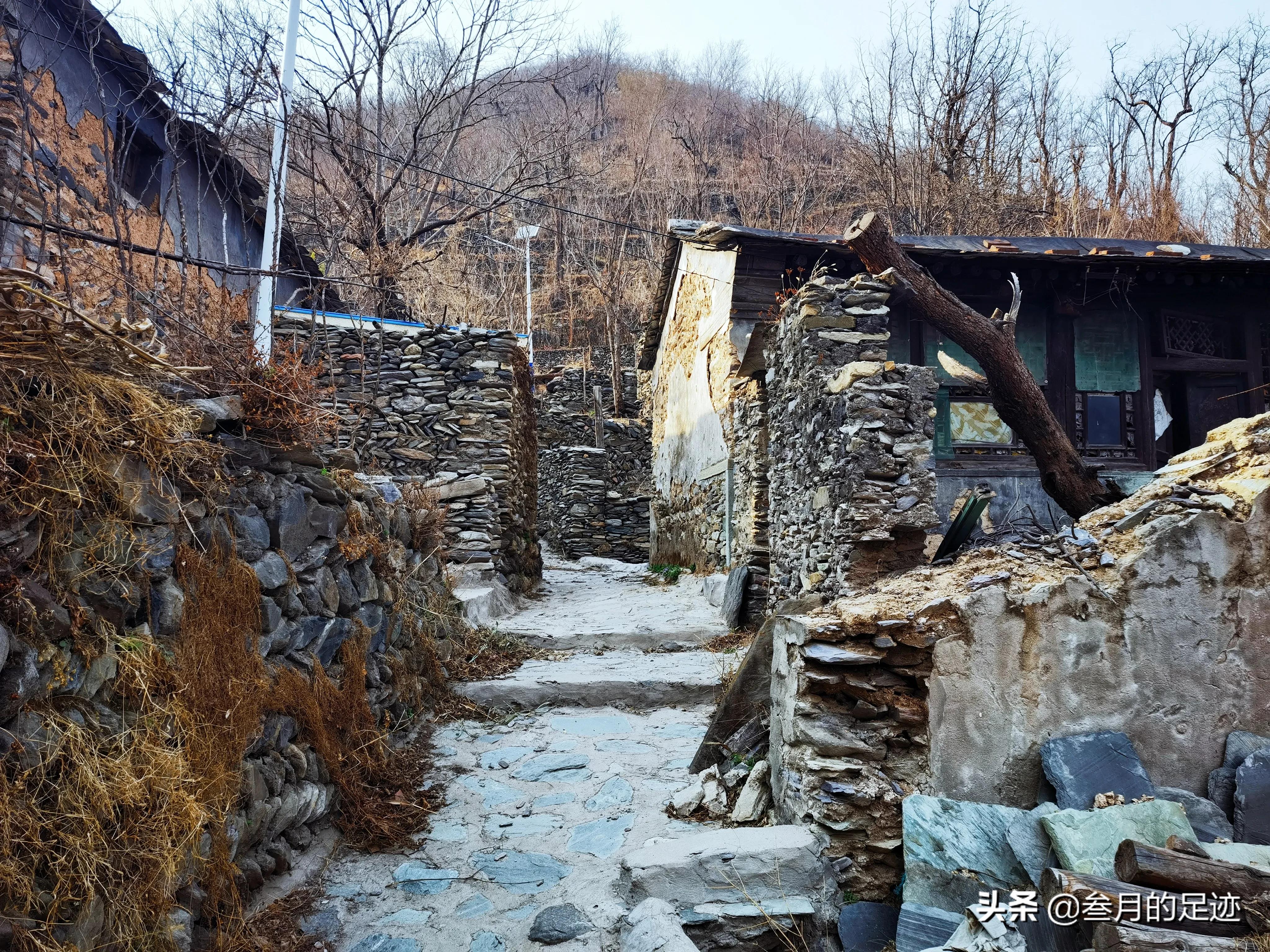 房山良乡踏春,最新房山踏春