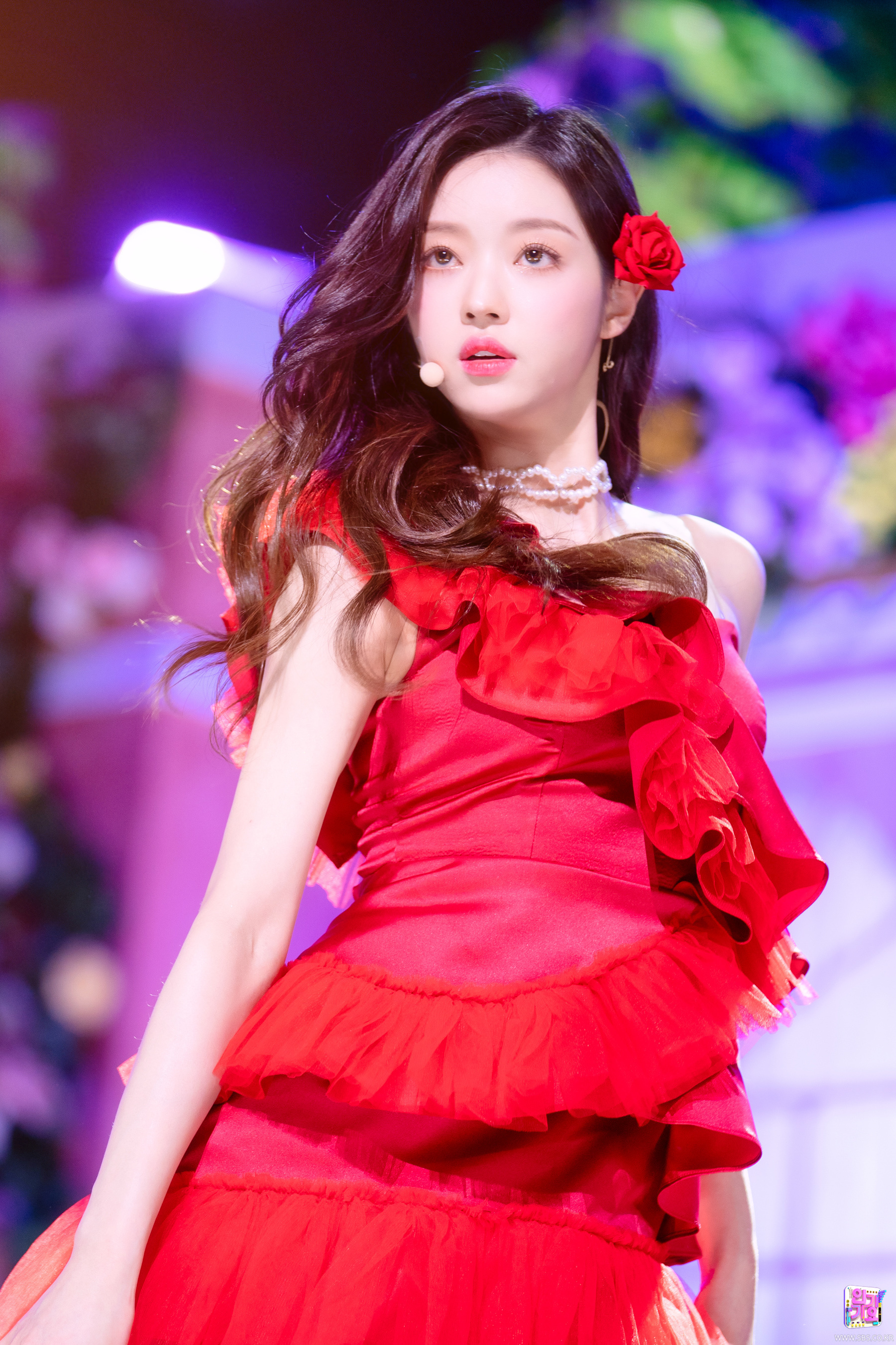 【被窝段子20221225】每个人的花期不同不必焦虑有人比你提前拥有