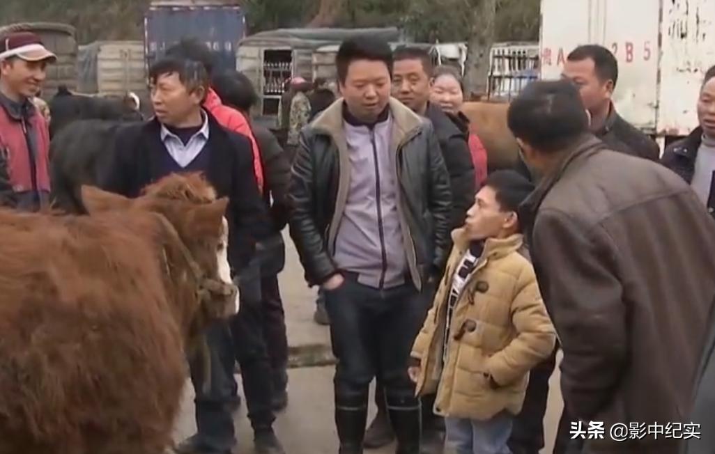 残疾男子一夜暴富,残疾男子年赚百万