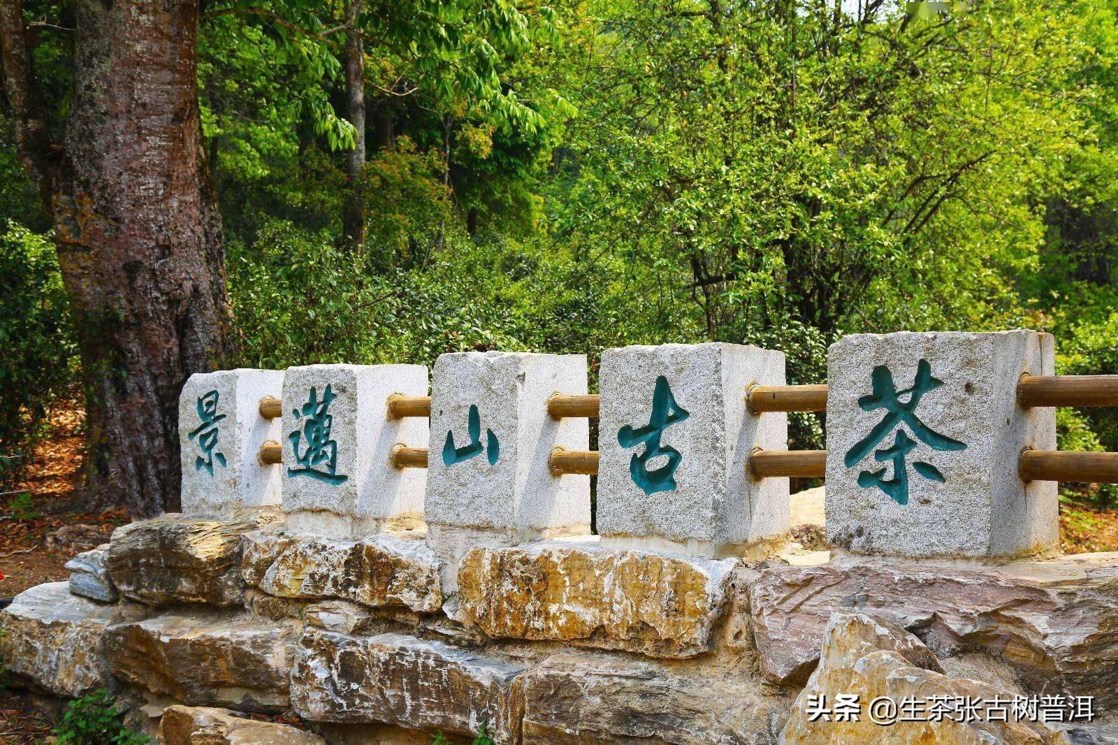 普洱茶名山和二三线山头的区别,普洱茶有名的茶山头有哪些