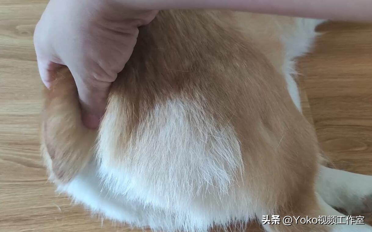 实体店买电脑有多坑,实体店买电脑怎么避开坑