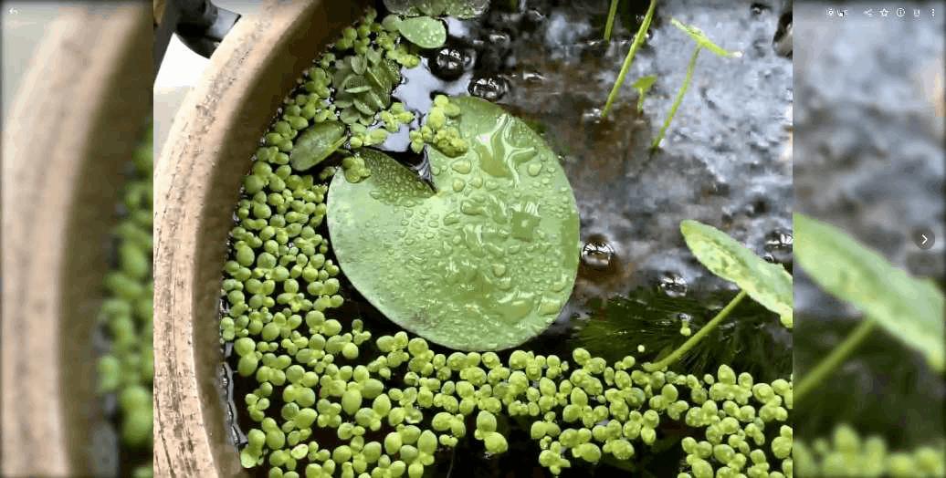 h265缩略图预览,h265视频压缩转换软件