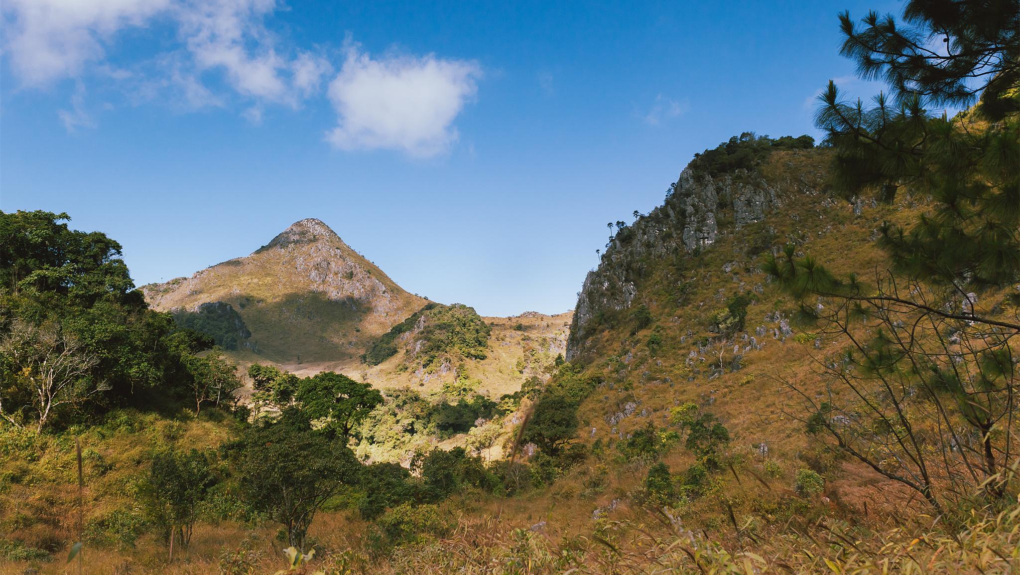父亲离婚娶了后妈该如何接受,父亲再婚娶后妈好吗