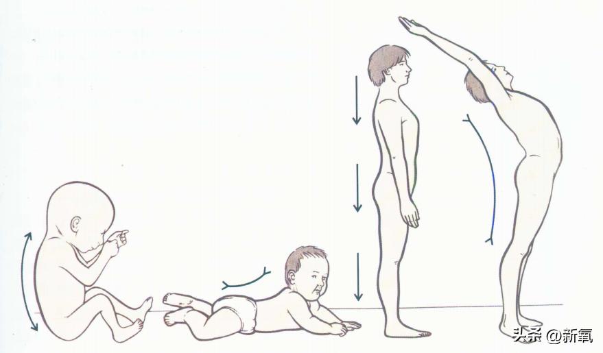 脸胖下垂是什么原因,脸肥下垂