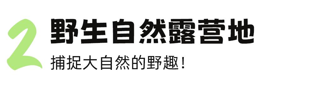 成都免费露营地推荐过夜,成都周边露营地推荐自驾
