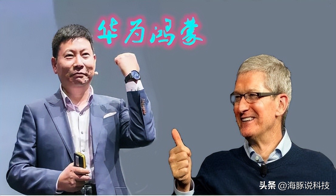 华为鸿蒙os手机体验,华为鸿蒙os3.0手机外观