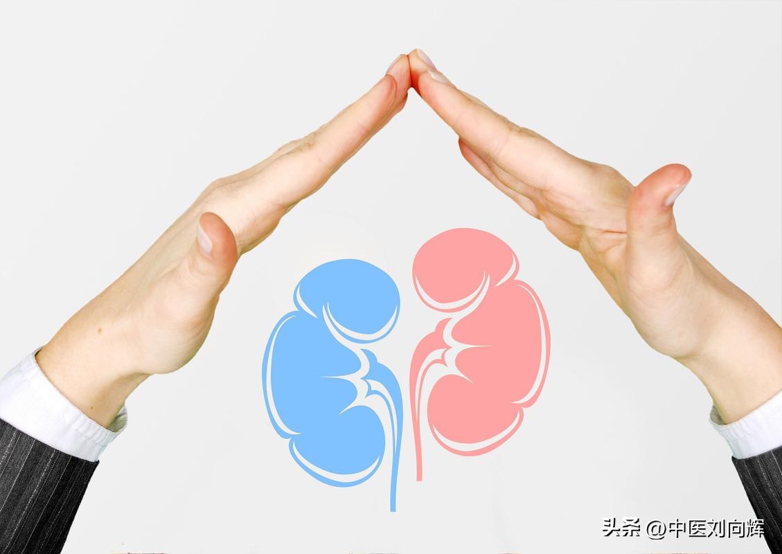 肾是先天之本怎样补肾最科学,肾为先天之本冬季四大养肾妙招