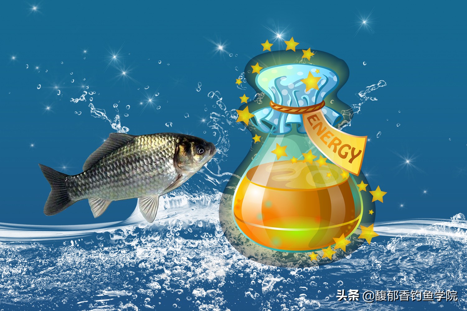 钓黑坑鲫鱼的技巧和方法,钓黑坑鲫鱼的方法与技巧