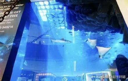 迪拜现状带你看看真实的迪拜,迪拜的真实现状纪录片