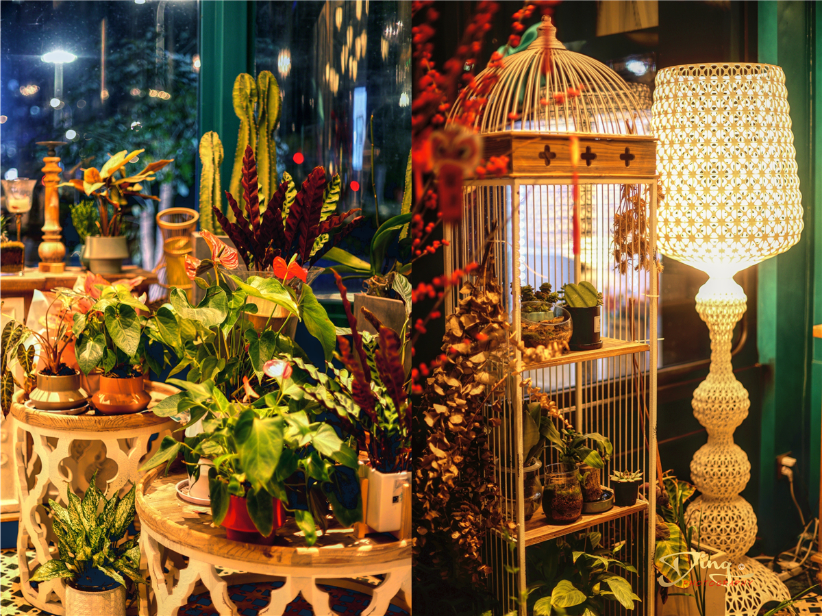 苏州东太湖游玩攻略,春节东太湖旅游攻略