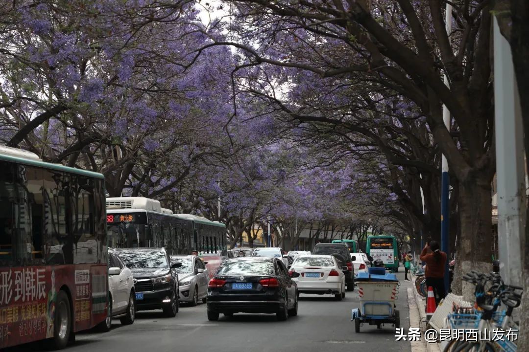 昆明周末打卡最多的网红地方,昆明1903公园最佳网红打卡地